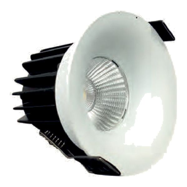 RR Dazzle COB Light