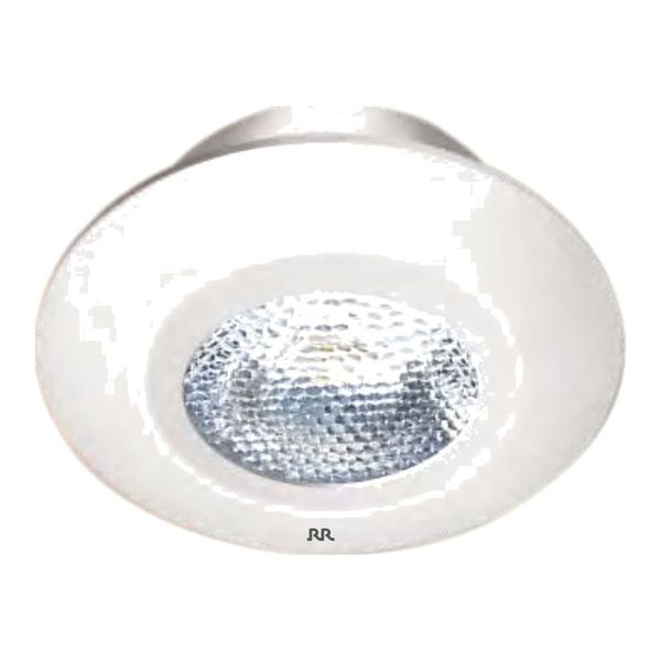 RR Limpiar S LED Spotlight